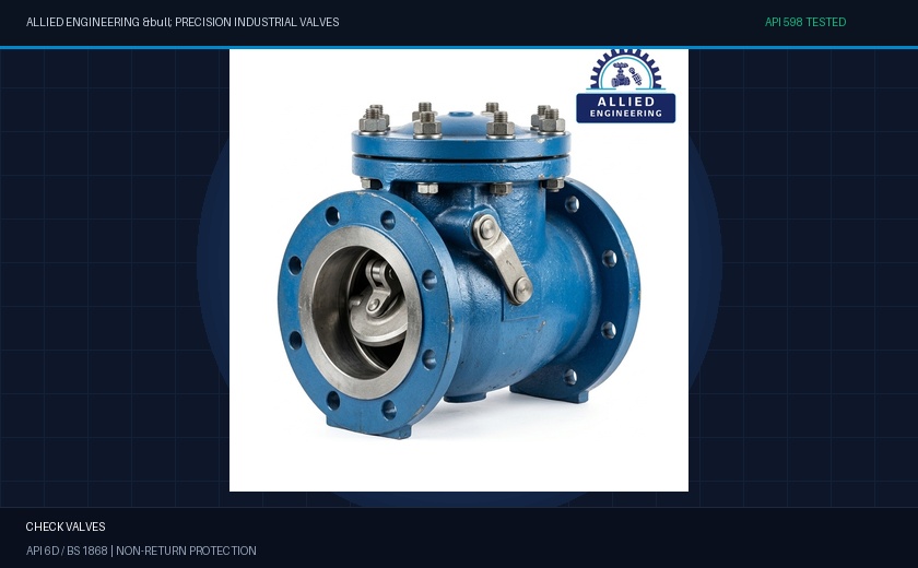 What is a Check Valve? A Beginner’s Complete Guide to Non-Return Protection