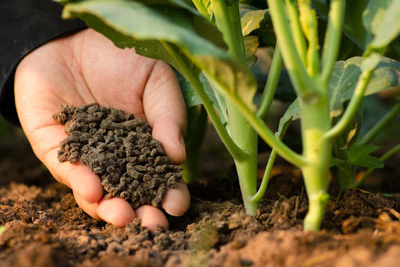 Fertilizers Industry